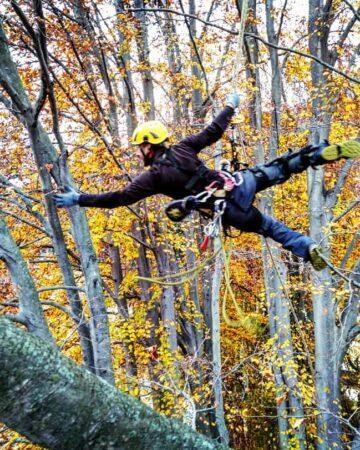 Tree Climbing Sportivo