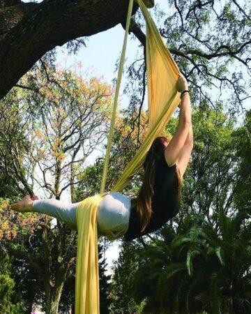 Arboreal Fabrics