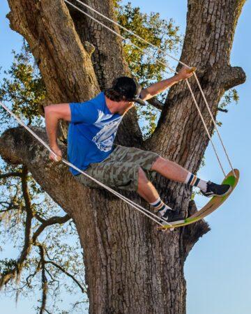Tree Surfing