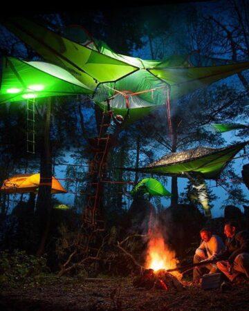 Tree Rooms